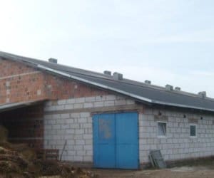 Najczęstszy błąd hodowców trzody w&nbsp;zimie – wentylacja