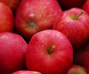 Można chłodzić jabłka eksportowane do Indii