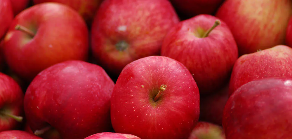 Można chłodzić jabłka eksportowane do Indii