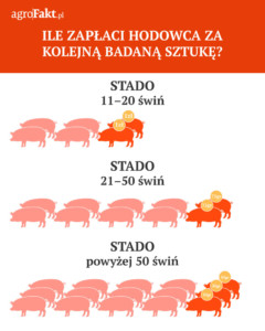 świadectwa zdrowia