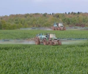 Czy warto dokarmić oziminy manganem i molibdenem?