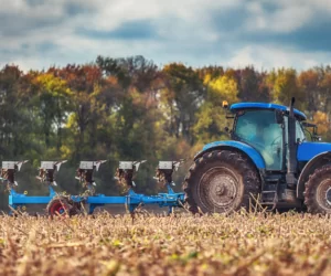 Orka przedzimowa: czy warto?