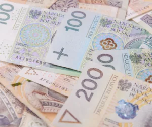 Dopłaty bezpośrednie 2019 – ruszył nabór wniosków