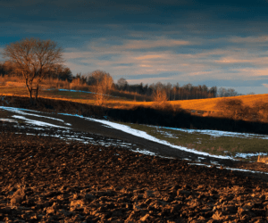 Czy polską wieś czeka duża reprywatyzacja ziemi?