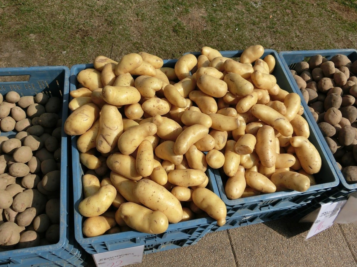potatoes-377531_1280