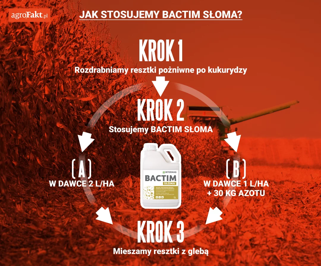 resztki po kukurydzy
