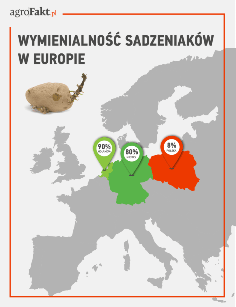 sadzeniaki