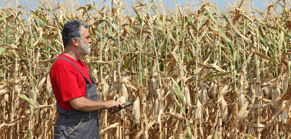 VitalFields częścią Climate Corporation