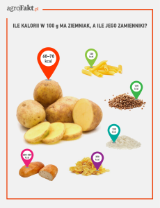 ziemniaki xxi wieku / niedoceniony ziemniak