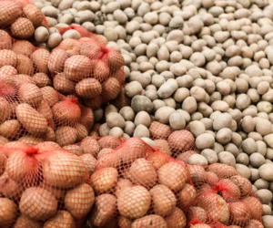 Jakie są ceny ziemniaków jadalnych i&nbsp;przetworów ziemniaczanych?