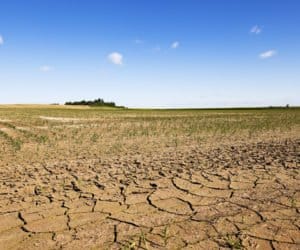 Pomoc dla rolników dotkniętych klęską – nabór wniosków tylko do jutra! [AKTUALNOŚCI]