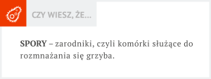 grzybica u bydła