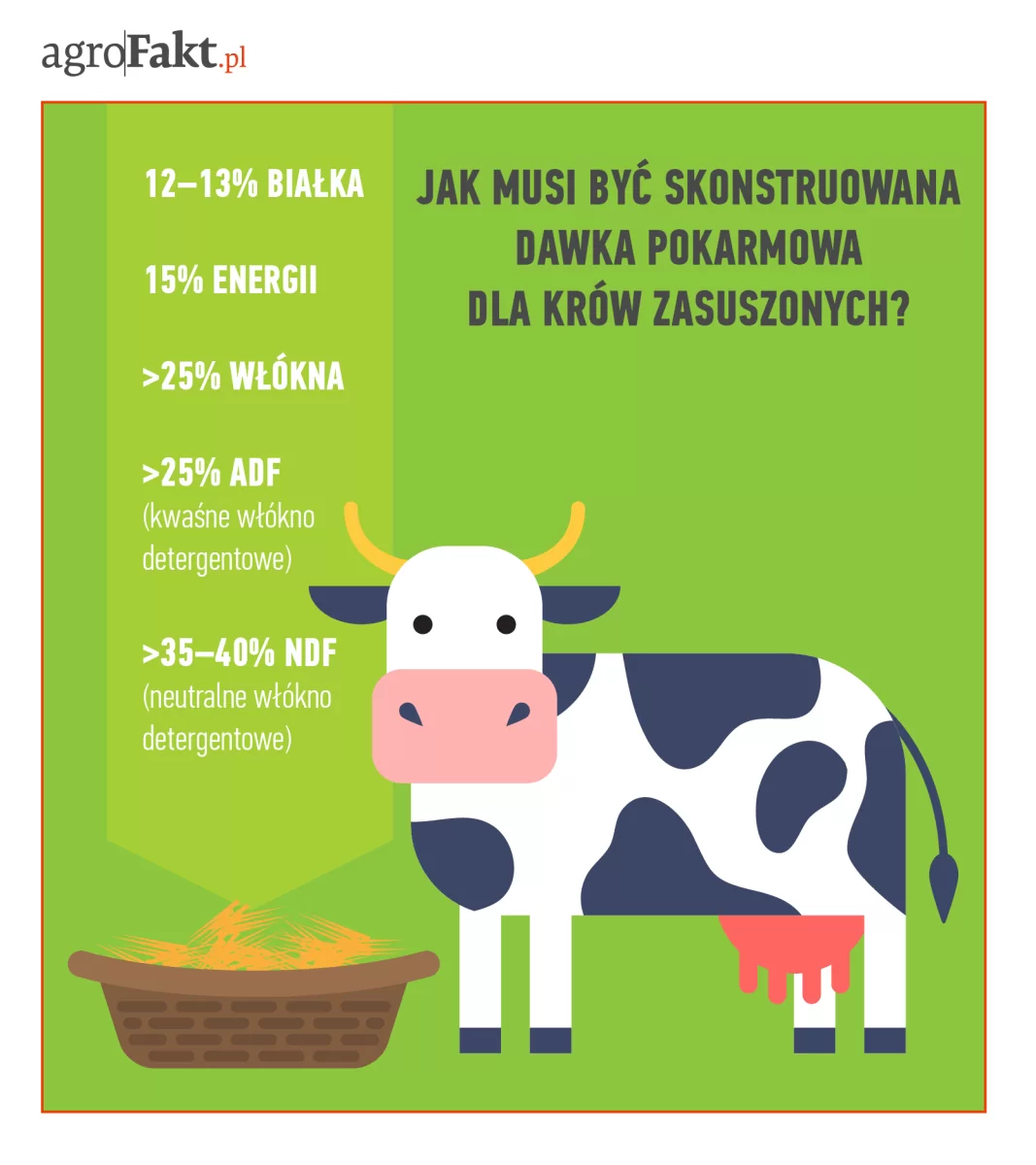 Żywienie krów mlecznych w zasuszeniu: o czym musimy pamiętać?