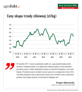 ceny wieprzowiny
