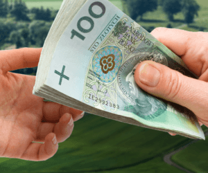 Ile zapłacimy za hektar ziemi w&nbsp;2017? Spodziewany mniejszy wzrost cen!