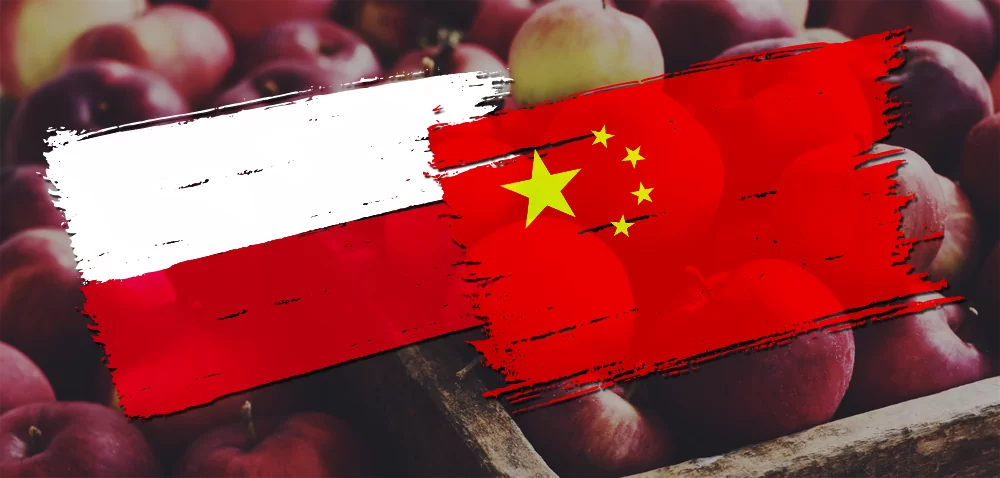 Eksport polskich jabłek do Chin: 100 tysięcy ton w 2022?