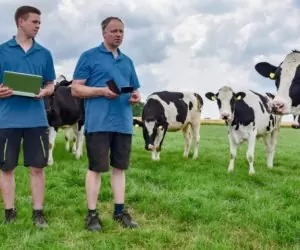 „Tworzenie grup producentów i&nbsp;organizacji producentów” w&nbsp;2017: oczami założycieli grup!