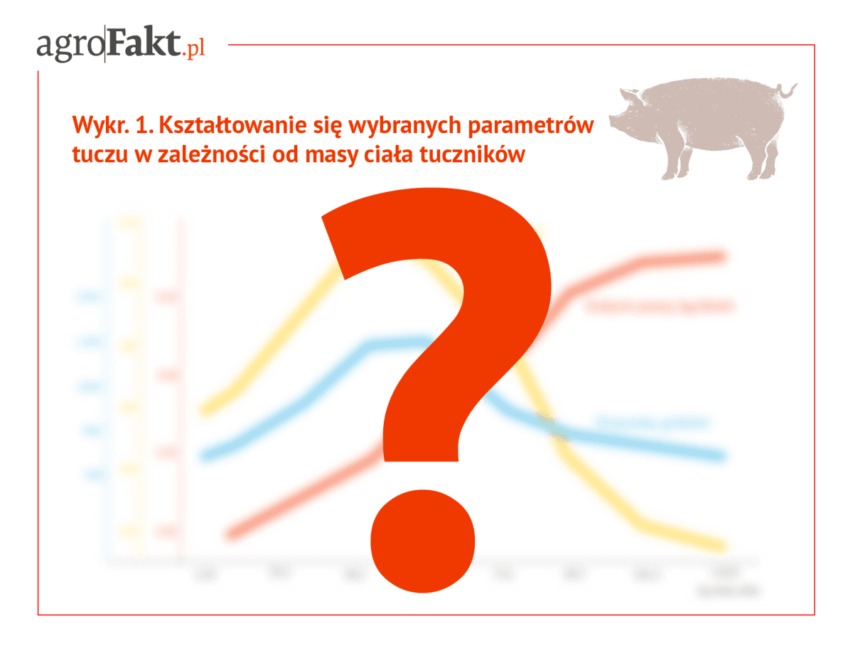 jakość mięsa wieprzowego