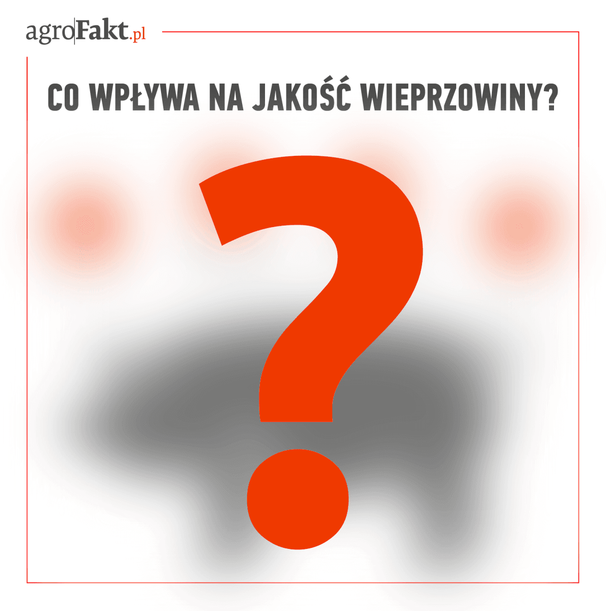 jakość mięsa wieprzowego