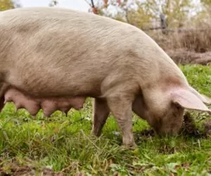 Coraz starsze lochy, coraz większe problemy