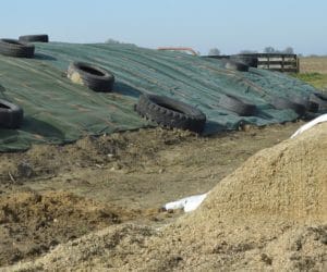 Zabezpieczenie pryzmy: ratuj kiszonkę!