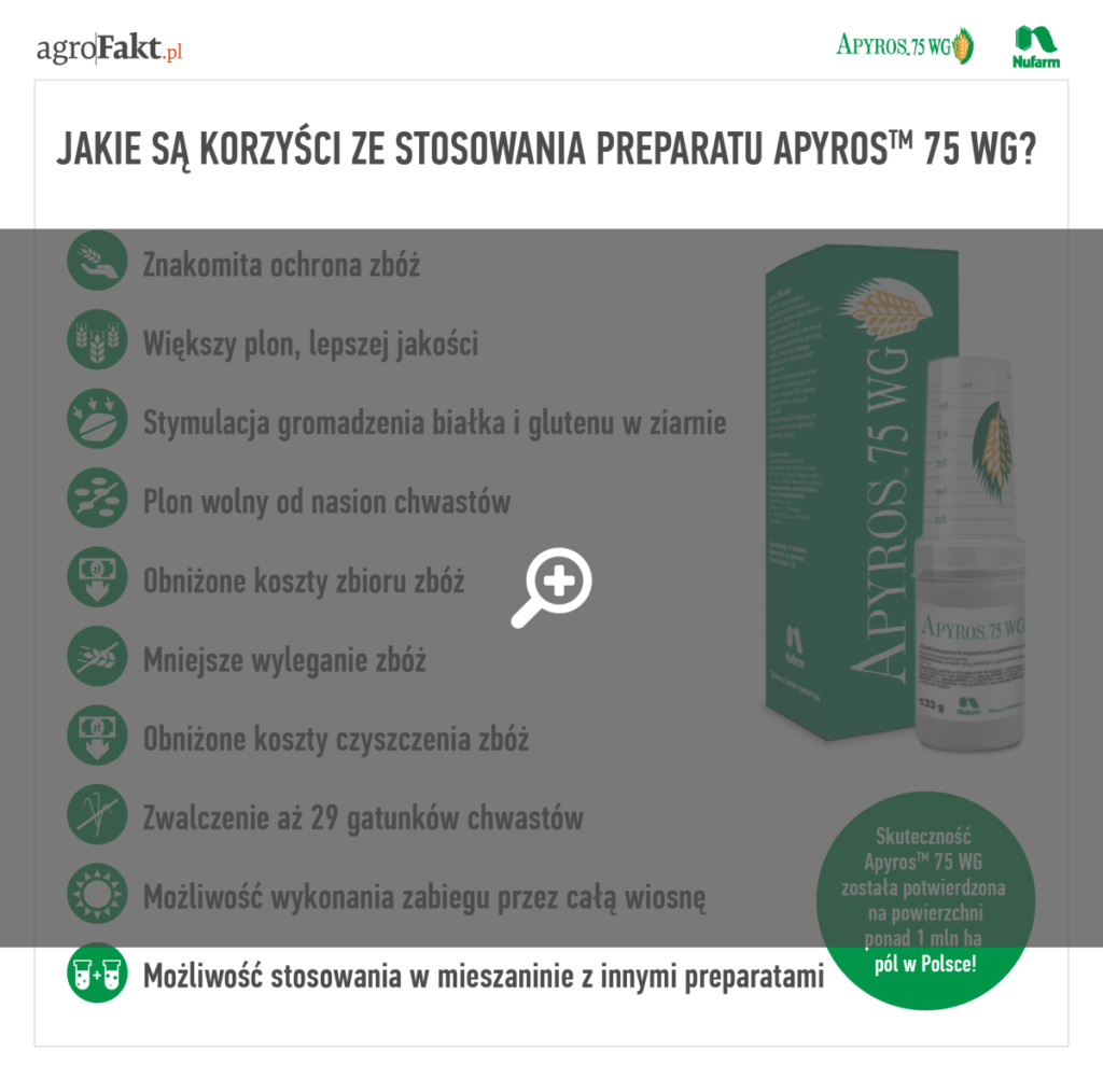 herbicyd apyros zwalczy wiosną chwasty w zbożach