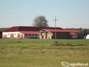Budowa obory