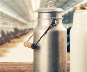 Artykuły mleczarskie podrożały – co najbardziej?