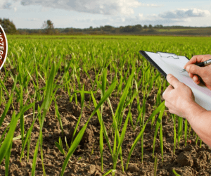 Dolnośląski Ośrodek Doradztwa Rolniczego we Wrocławiu