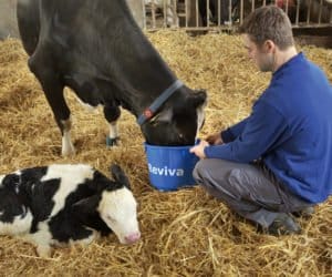 Pójło Farm-O-San Reviva: zastrzyk energii w&nbsp;okresie okołowycieleniowym