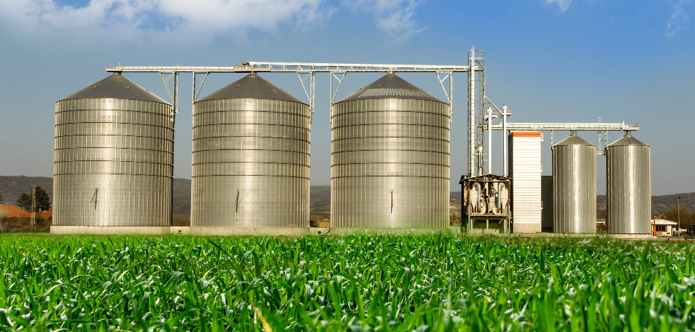 Co czeka producentów zbóż w&nbsp;2017 roku?