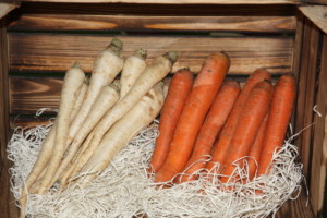 marchew i pietruszka