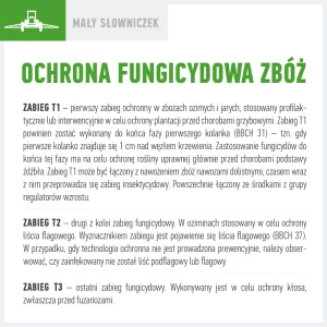 zabiegi ochrony fungicydowej zbóż