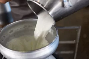 pomoc dla producentów mleka wpłynie na ceny