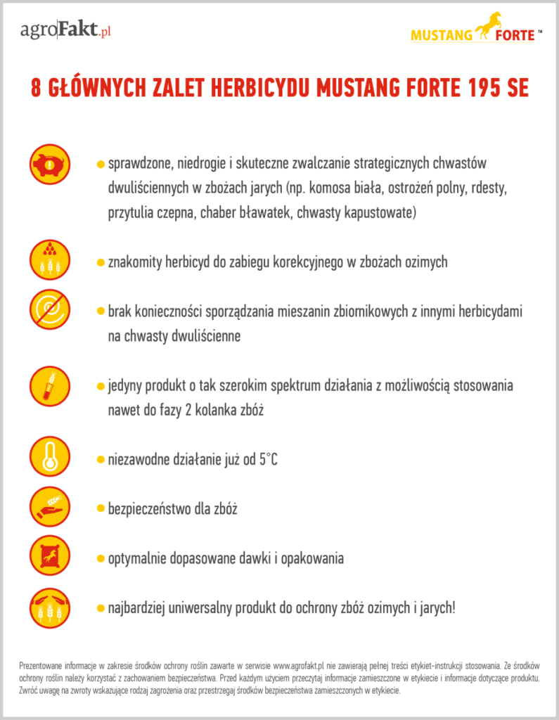 Główne zalety Mustangu Forte SE