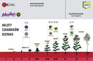 zabiegi insektycydowe totalna ochrona