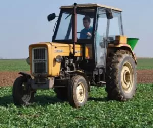 Jesienne nawożenie rzepaku podstawą dobrego plonu