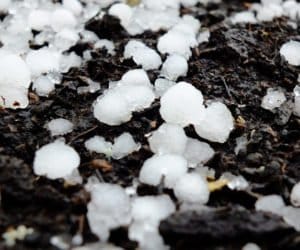 Pomoc klęskowa z&nbsp;PROW trafiła do niewielu rolników…