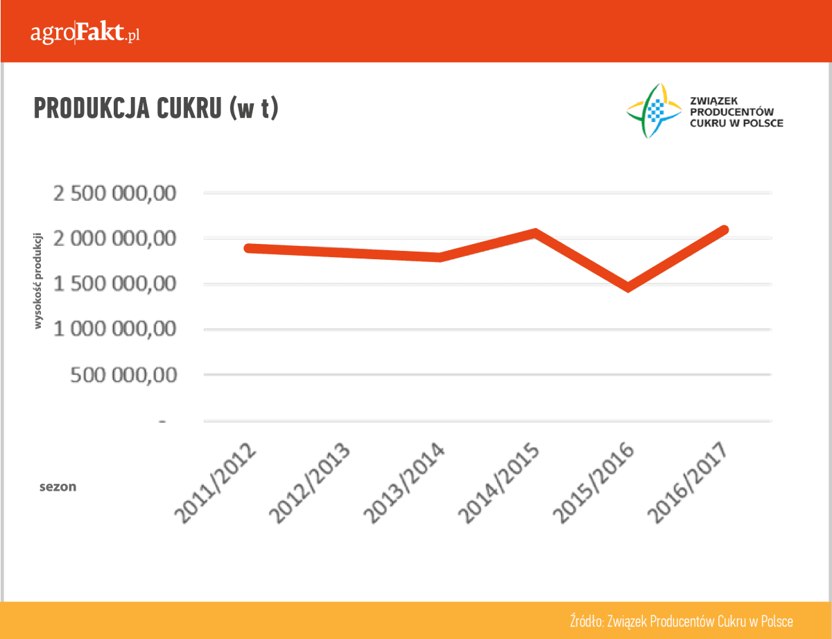 produkcja cukru w Polsce