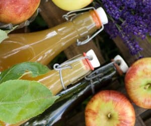 Nabory na PROW: do rozdysponowania 304 mln euro dla przetwórców!