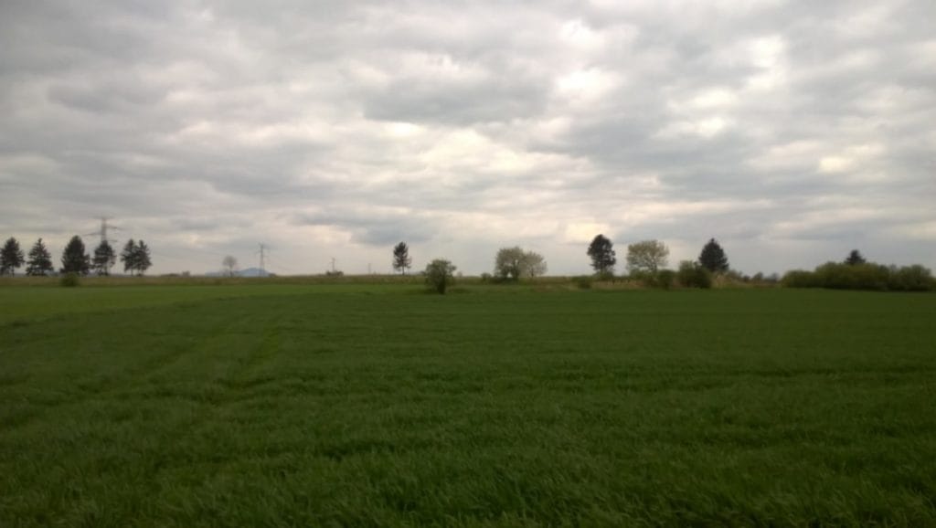 kiepska pogoda na polu