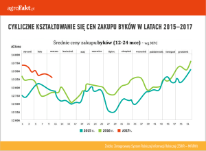 średnie ceny byków