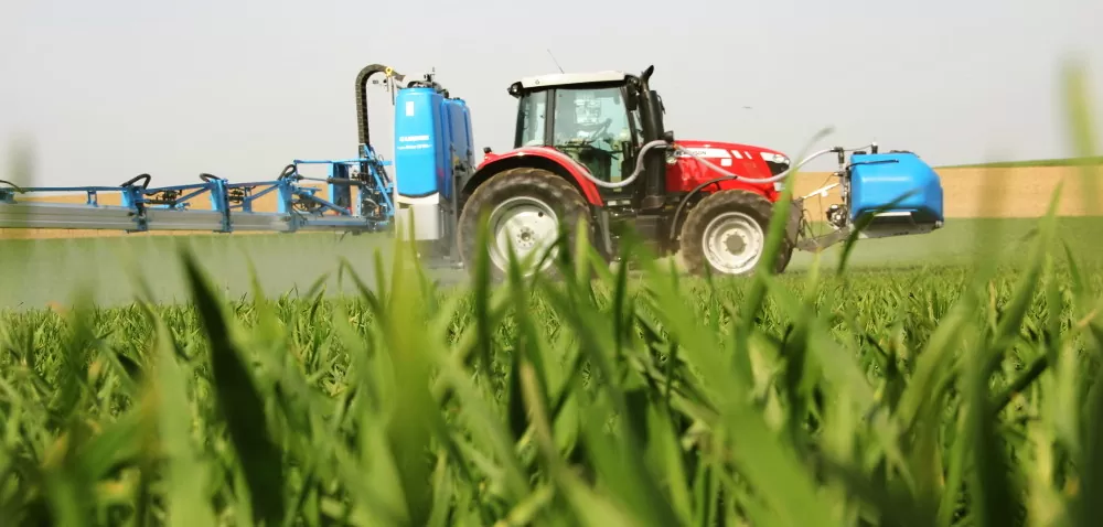 Ochrona herbicydowa zbóż a jakość ziarna