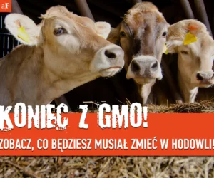 zakaz stosowania pasz gmo
