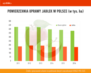 rynek jabłek - powierchnia upraw