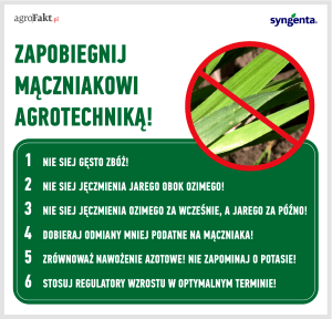 zapobieganie mączniakowi prawdziwemu