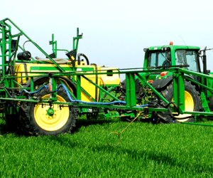 Zwalczanie chwastów dwuliściennych w&nbsp;zbożach ozimych i&nbsp;jarych