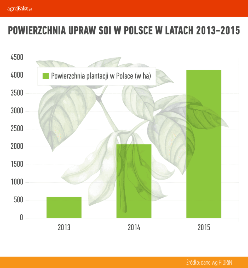 uprawa soi w Polsce - powierzchnia