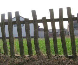 Darowizna gospodarstwa rolnego – jak to wygląda