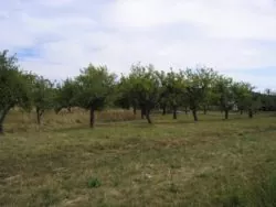 darowizna gospodarstwa rolnego